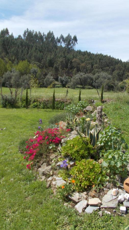 Villa Casa Lerryn à Sertã Extérieur photo